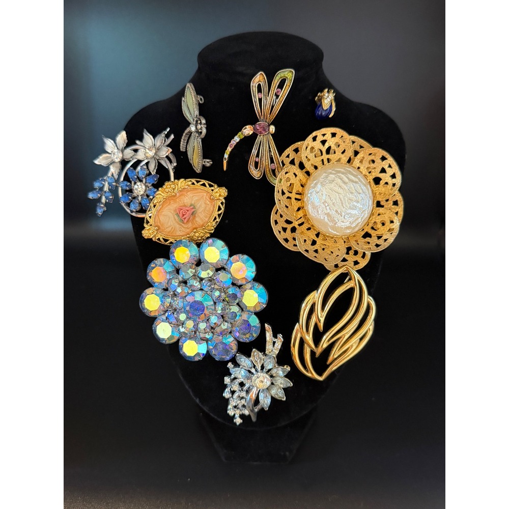 Vintage Brooch Lot 9pc Aurora Borealis Crystal Dragonfly Cameo Floral Jewelry